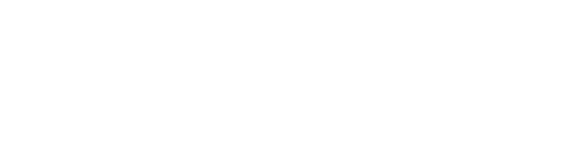 CV INVEST